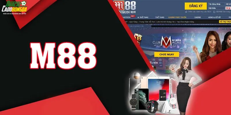 Đánh Giá Tổng Quan Về Nhà Cái M88