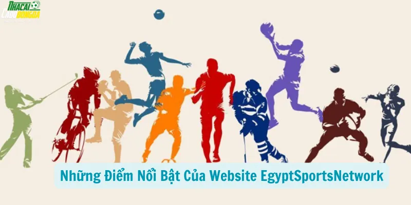 Những Điểm Nổi Bật Của Website EgyptSportsNetwork