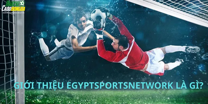 Giới Thiệu EgyptSportsNetwork Là Gì?