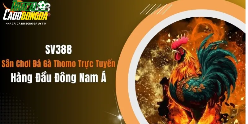 SV388 - Trang đá gà uy tín, công bằng và đáng tin cậy