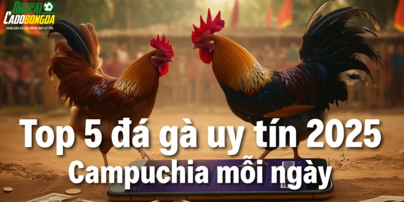Cập nhật 5 trang đá gà uy tín nhất hiện nay
